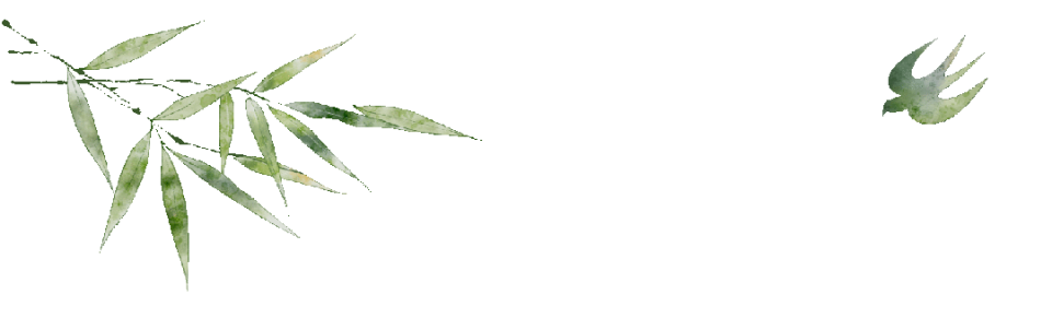 DkApn